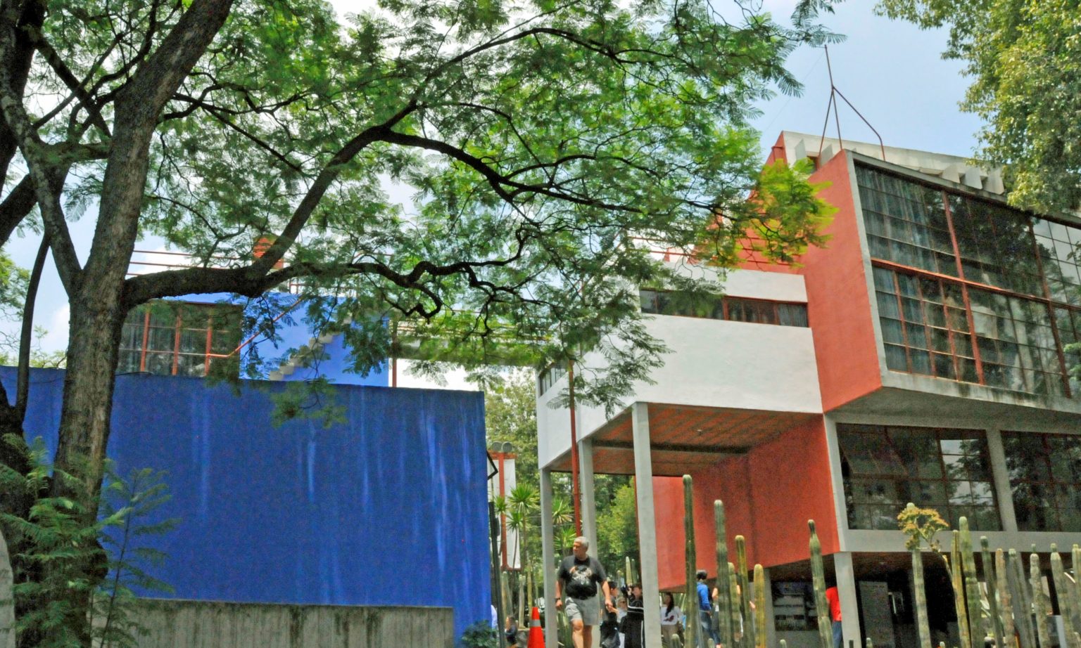 mexico-city-s-other-blue-house-donknebel