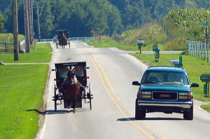 Buggy Rides in Shipshewana (Photo by Don Knebel)