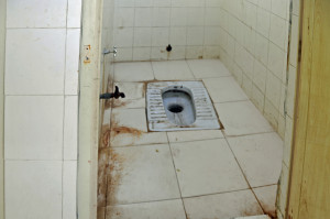Eastern Toilet in India (Photo by Don Knebel)